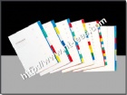 PP Color Tab Divider (w/o number)