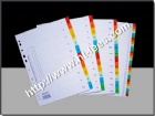 Paper Tab Divider     (w/ number)