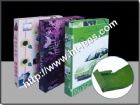 Paper File Box